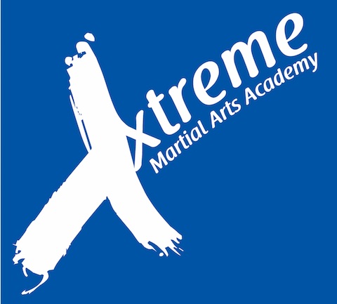 Reviews of Xtreme Martial Arts Academy in Pukekohe - School