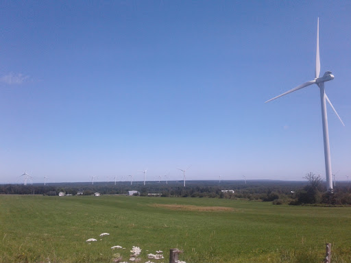 Campground «Ponderosa Campsite», reviews and photos, 417 Town Line Rd, Chateaugay, NY 12920, USA