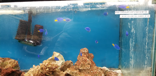 Tropical Fish Store «Two Turtles Pet Center», reviews and photos, 760 W Market St, Akron, OH 44303, USA