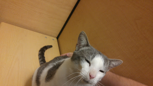 Pet Supply Store «PetSmart», reviews and photos, 1042 Fairplain Dr, Benton Harbor, MI 49022, USA