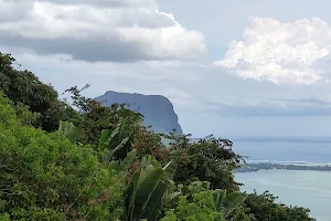 Chamarel View Point image