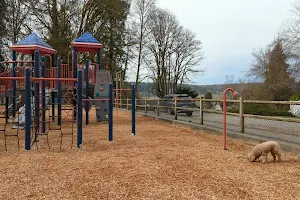 Taylor Park Playground image
