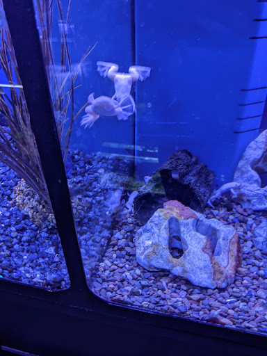 Pet Store «Moby Dick Pet Store Inc», reviews and photos, 3700 Sashabaw Rd, Waterford Twp, MI 48329, USA