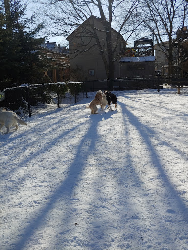 Dog Park «Wiggly Field Dog Friendly Area», reviews and photos, 2645 N Sheffield Ave, Chicago, IL 60614, USA