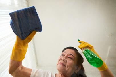 iClean (Office and House Cleaning Services)