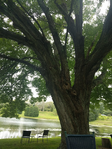 Winery «Dalice Elizabeth Winery», reviews and photos, 6 Amos Rd, Preston, CT 06365, USA