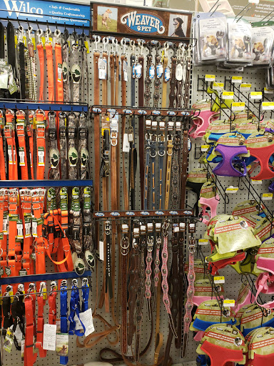 Animal Feed Store «Wilco Farm Store», reviews and photos, 2950 S Santiam Hwy, Lebanon, OR 97355, USA