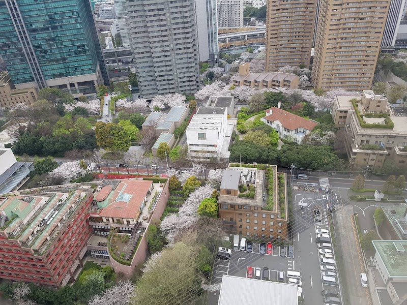 サーブコープ 城山トラストタワー