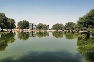 Al Qudra Duck and Swan Lake image