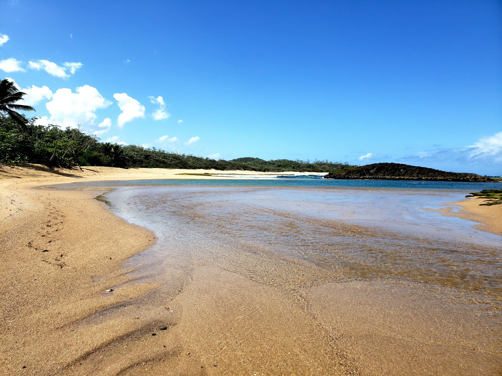 Foto di Boquillas beach con una superficie del acqua cristallina