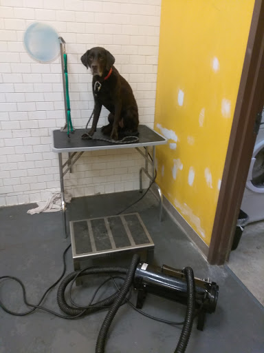 Pet Supply Store «Unleashed by Petco», reviews and photos, 6 Shipyard Dr #1f, Hingham, MA 02043, USA