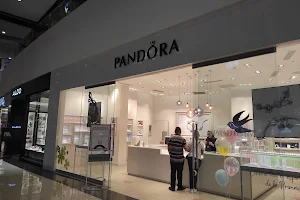 Pandora image