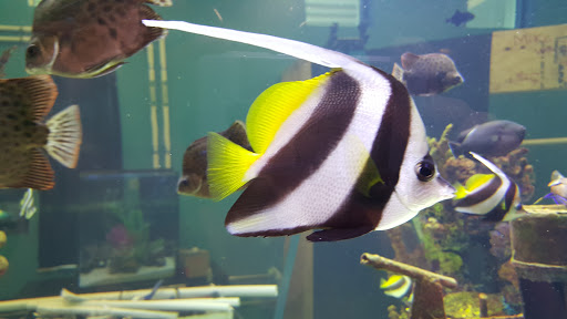 Tourist Attraction «IMAG History & Science Center (formerly Imaginarium Science Center)», reviews and photos, 2000 Cranford Ave, Fort Myers, FL 33916, USA