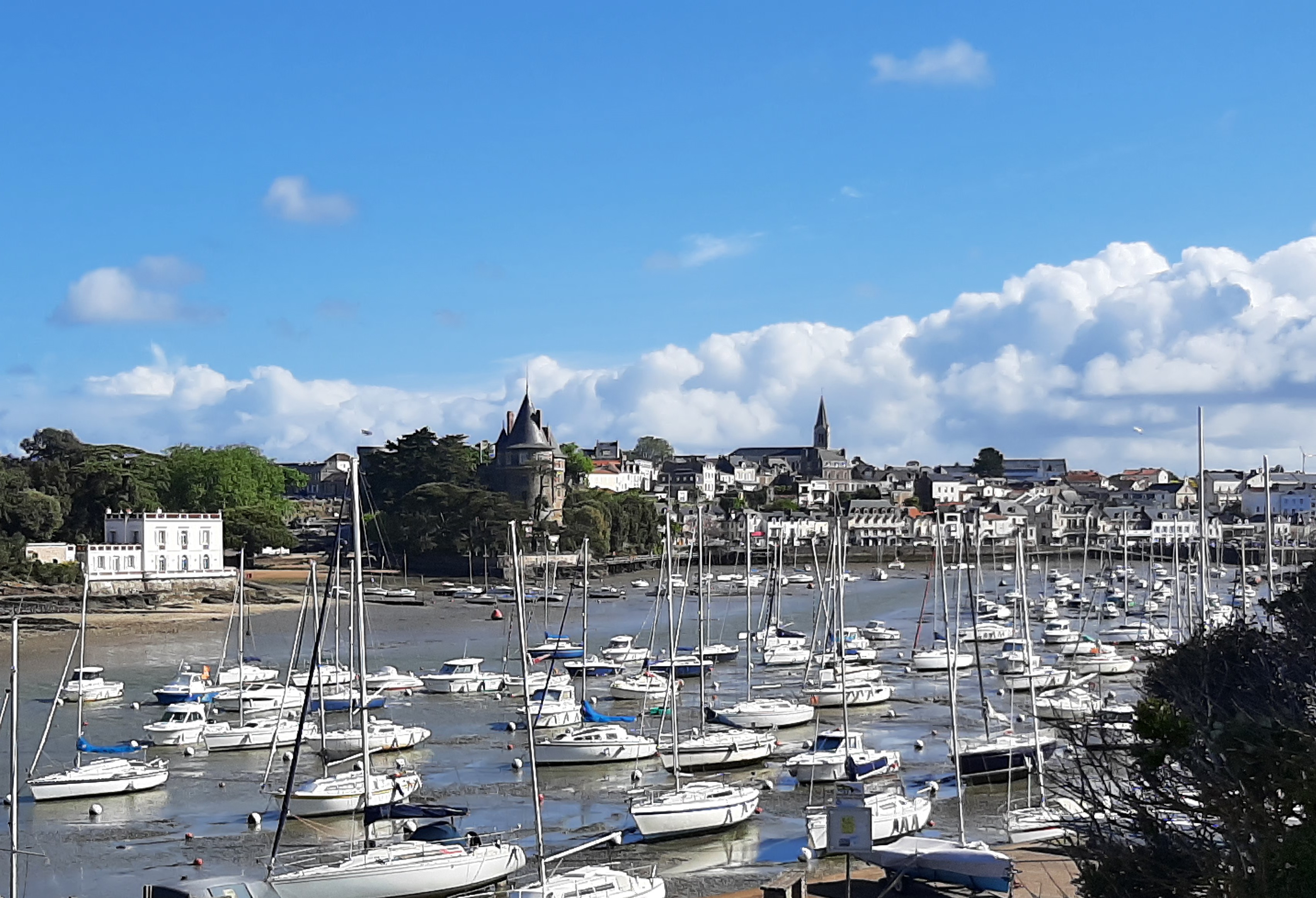 Photo n° 2 de l'avis de B.8 fait le 11/05/2021 à 16:14