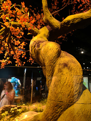 Tourist Attraction «Science Museum of Minnesota», reviews and photos, 120 W Kellogg Blvd, St Paul, MN 55102, USA