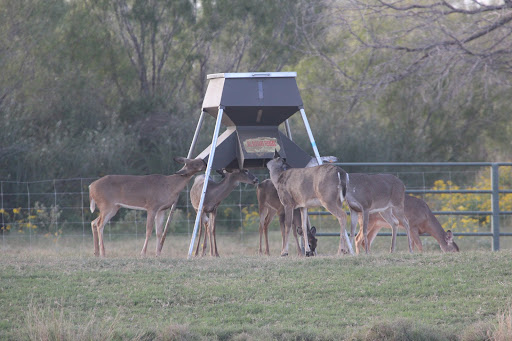 Manufacturer «All Seasons Feeders», reviews and photos, 8424 US Hwy 87 E, San Antonio, TX 78263, USA