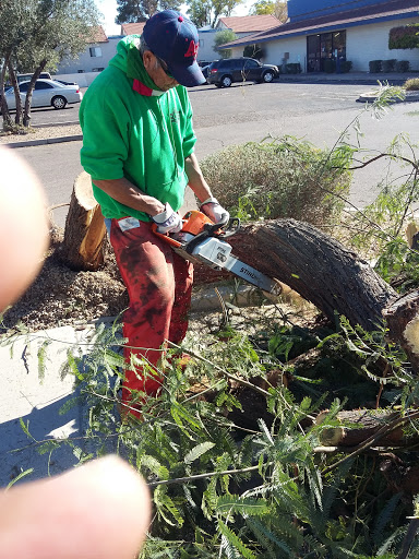 Sporting Goods Store «Big 5 Sporting Goods», reviews and photos, 921 E Southern Ave, Tempe, AZ 85282, USA