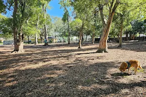 Pawmosa Dog Park image