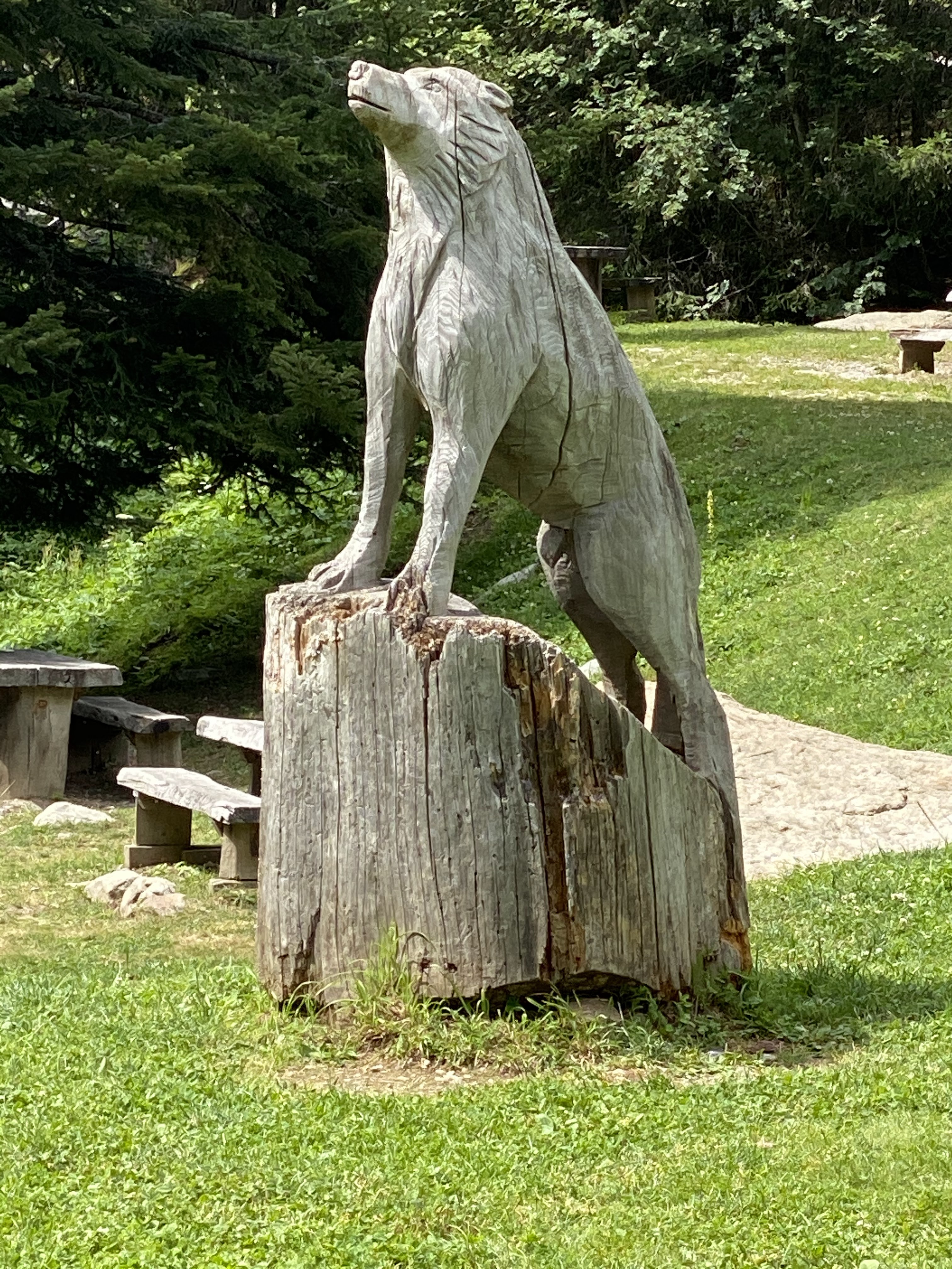 Photo n° 3 de l'avis de Elyor. fait le 22/07/2020 à 18:58