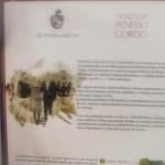 Photo n°7 de l'avis de Mª.i fait le 20/08/2022 à 12:35 sur le  Casa de Pasto Fernanda e Campinas à Vila Nova de Cacela