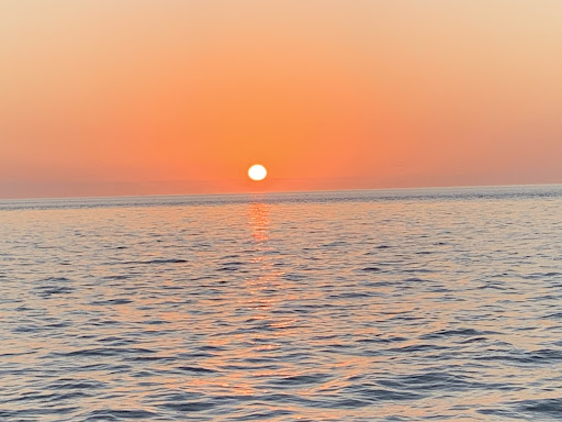 Boat Tour Agency «Spongeorama Cruise lines», reviews and photos, 510 Dodecanese Blvd, Tarpon Springs, FL 34689, USA