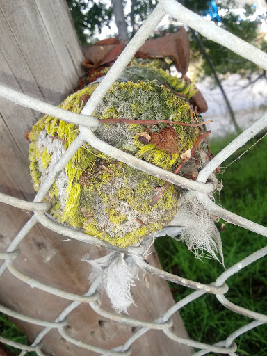 Grocery Store «La Tapatia Market», reviews and photos, 504 Brown St, Napa, CA 94559, USA