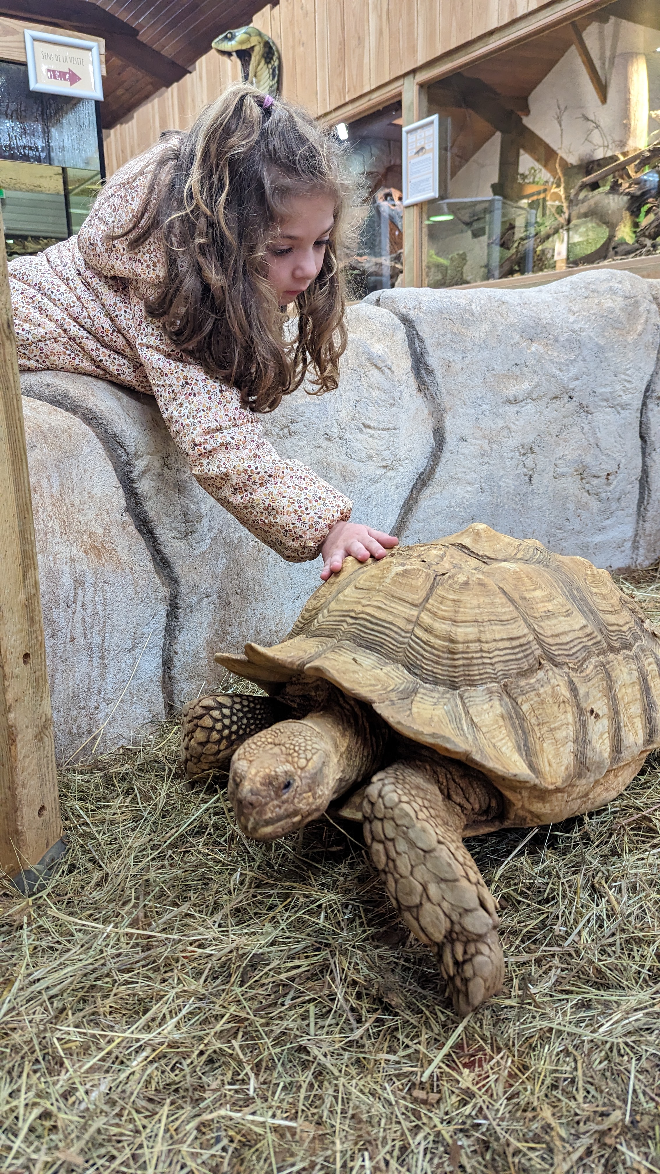 Photo n° 1 de l'avis de Anais.e fait le 10/03/2024 à 09:10