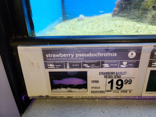 Pet Supply Store «Petco Animal Supplies», reviews and photos, 1704 US Hwy 27 S, Sebring, FL 33870, USA