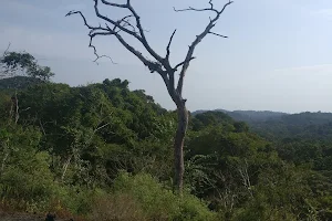 Gola Rainforest National Park image