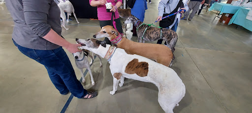 Sports Complex «All Star Family Fun & Events», reviews and photos, 2638 Emmitsburg Rd, Gettysburg, PA 17325, USA