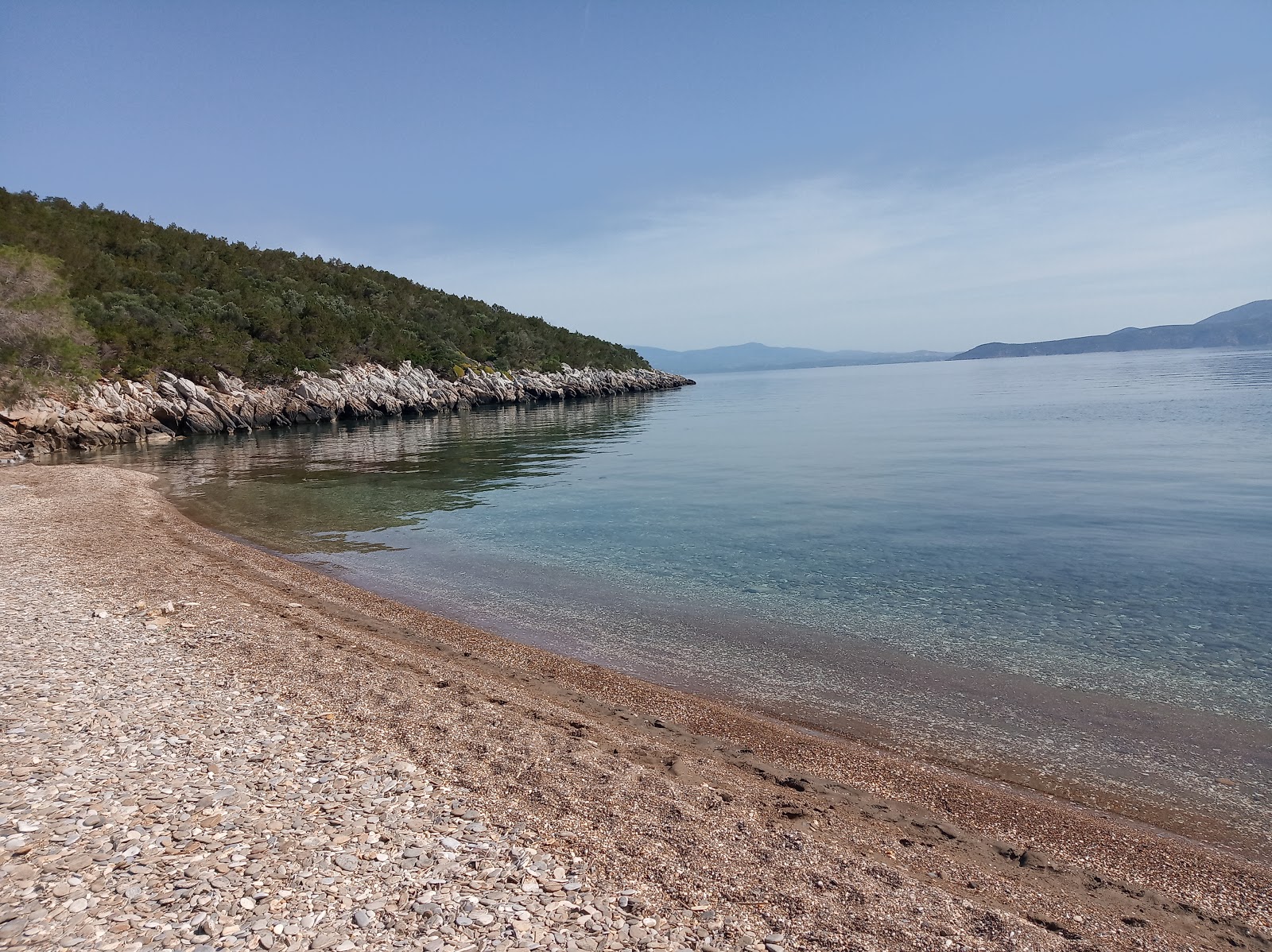 Ramnous beach'in fotoğrafı çok temiz temizlik seviyesi ile