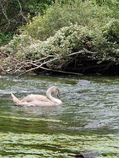 Museum «Eli Whitney Museum», reviews and photos, 915 Whitney Ave, Hamden, CT 06517, USA