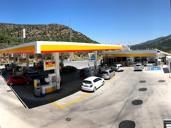 Shell Kökler Akaryakıt