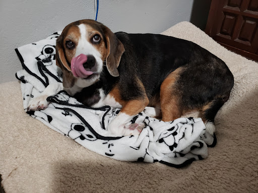 Pet Supply Store «Dinovite», reviews and photos, 101 Miller Dr, Crittenden, KY 41030, USA