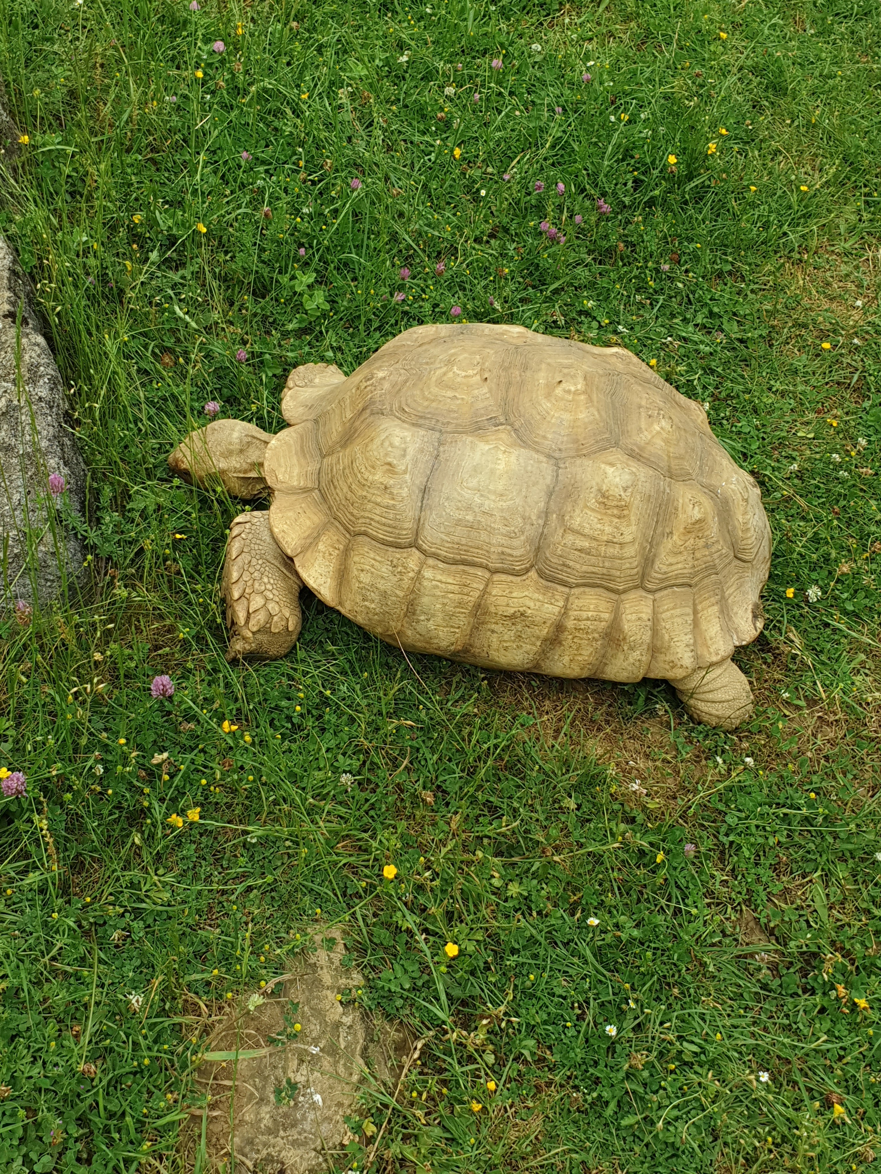 Photo n° 8 de l'avis de BN.s fait le 26/05/2022 à 17:33