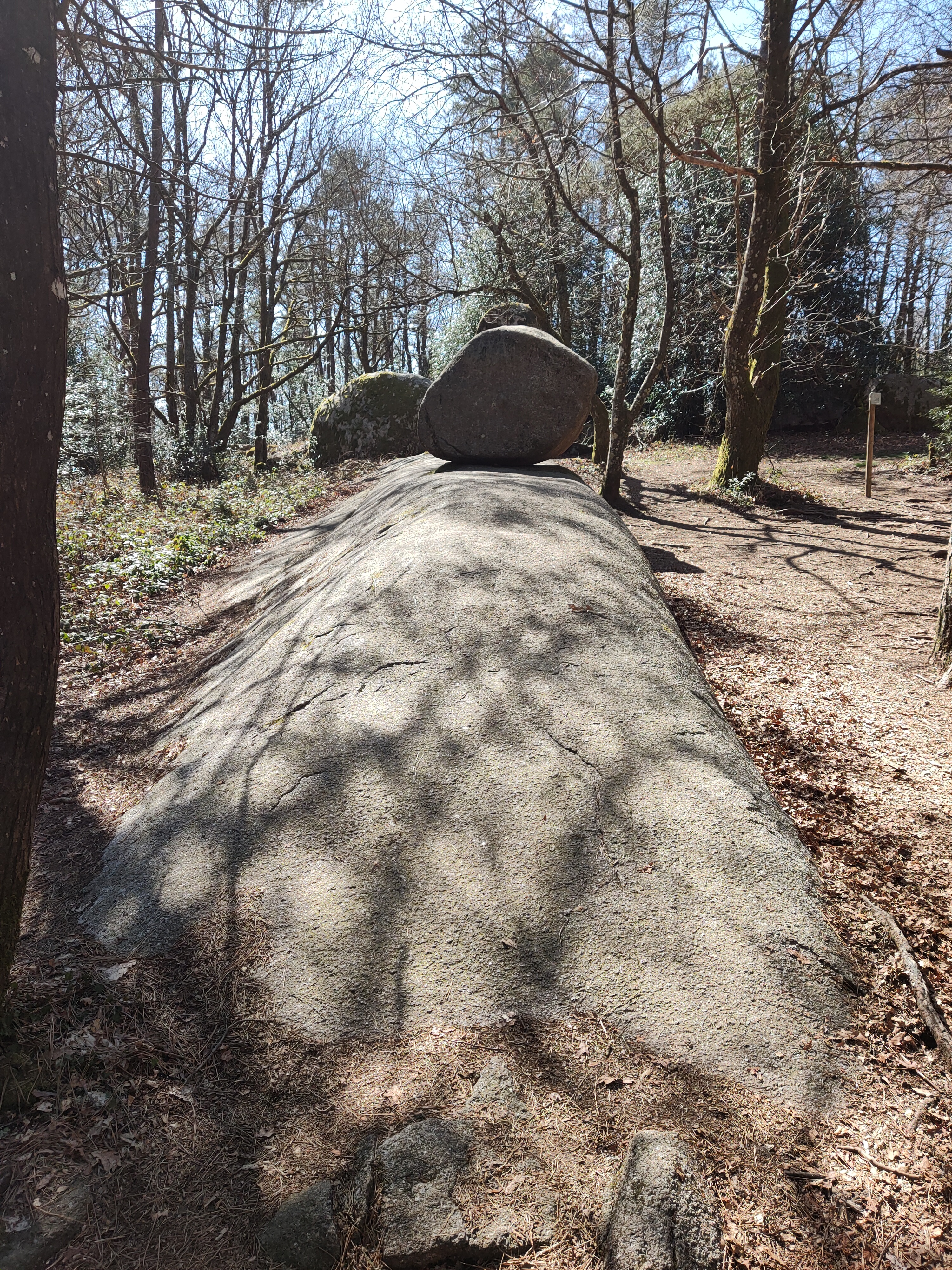 Photo n° 12 de l'avis de Yves.o fait le 29/03/2021 à 06:12