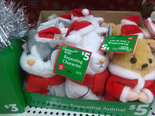 Discount Store «Dollar General», reviews and photos, 31550 FM306, Spring Branch, TX 78070, USA