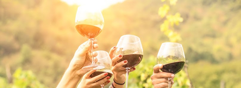 Rioja in Style - Rioja Wine Tours & Transfers P.º de los Molinos, 4, 26250 Santo Domingo de la Calzada, La Rioja, España