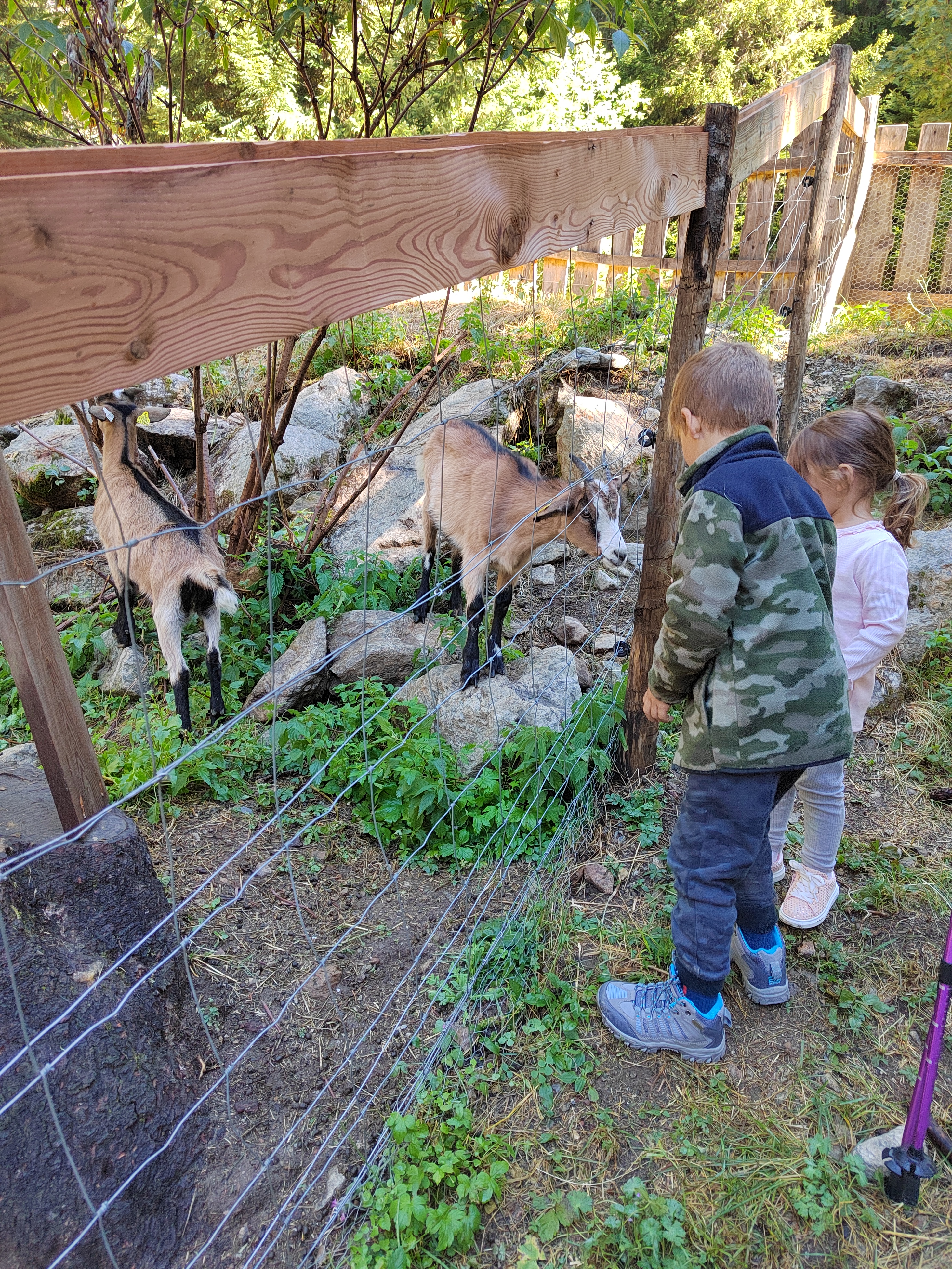 Photo n° 6 de l'avis de Cristelle.s fait le 30/06/2020 à 11:59