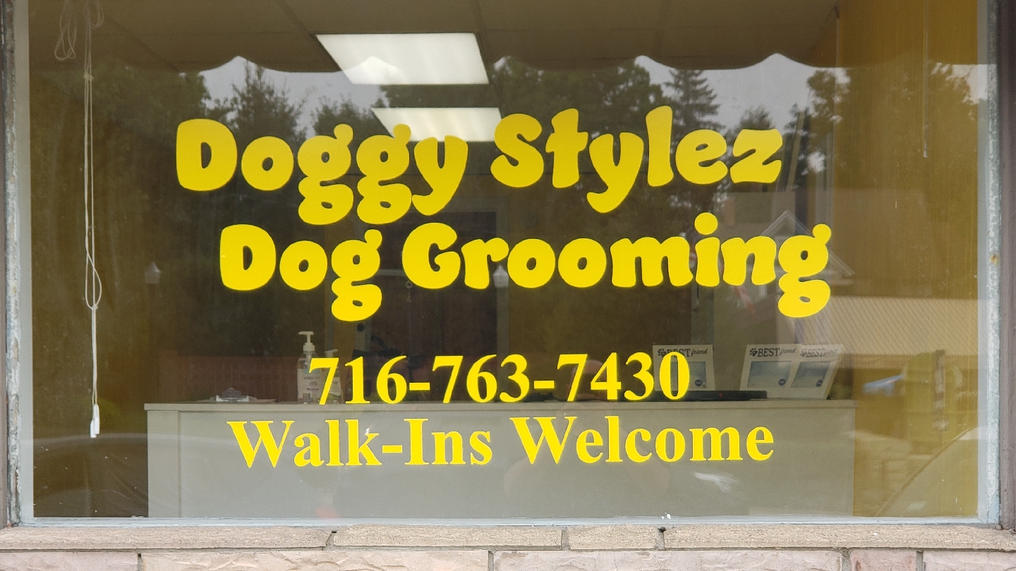 Doggy Stylez Dog Grooming