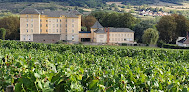 Les crus de santenay Santenay