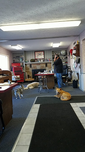 Car Dealer «Lake County Auto Sales», reviews and photos, 1756 Mentor Ave, Painesville, OH 44077, USA