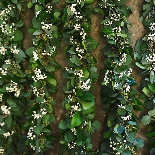 Florist «Grand Avenue Florist», reviews and photos, 1416 SE 8th Ave, Portland, OR 97214, USA