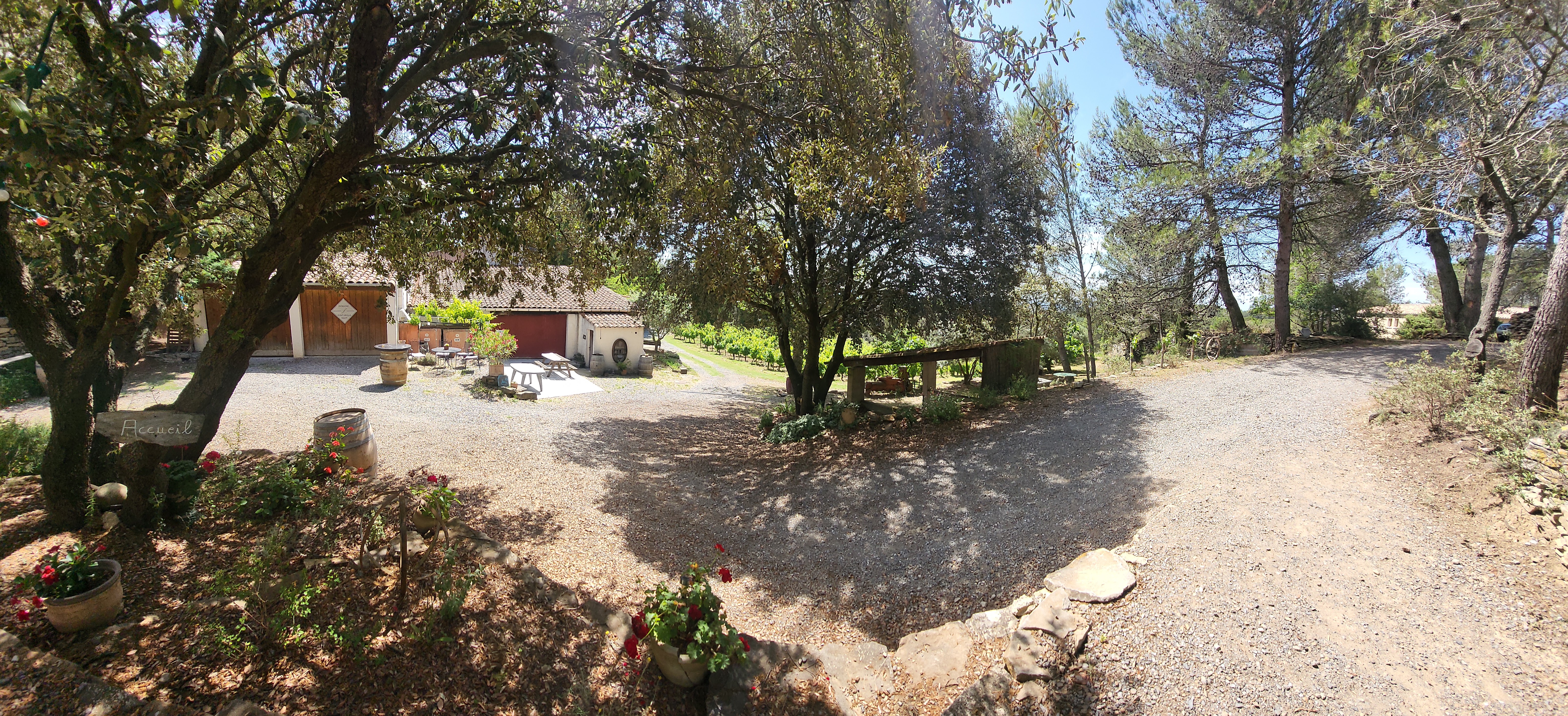 Photo n° 1 de l'avis de B19.S fait le 13/06/2023 à 12:24