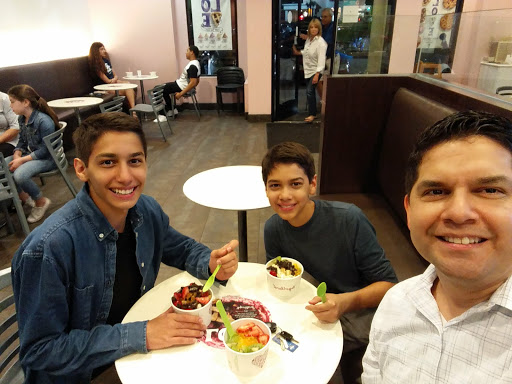 Frozen Yogurt Shop «Yogurtland», reviews and photos, 4170 Lavon Dr #176, Garland, TX 75040, USA