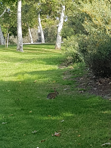 Park «Vista del Valle Park», reviews and photos, 1600 S Idaho St, La Habra, CA 90631, USA