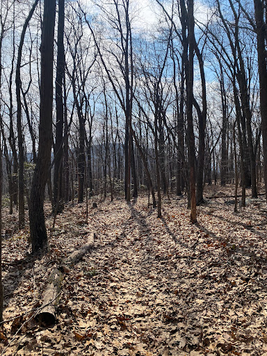 Nature Preserve «Eidolon Nature Preserve», reviews and photos, 2146 Orleans Rd, Great Cacapon, WV 25422, USA