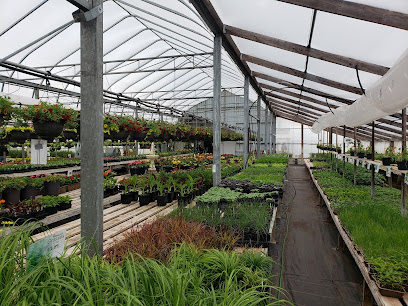 York Greenhouses & Garden Centre
