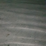 Photo n°2 de l'avis de Bruno.n fait le 14/08/2019 à 11:14 sur le  Il Panino Salentino à Sant'Isidoro