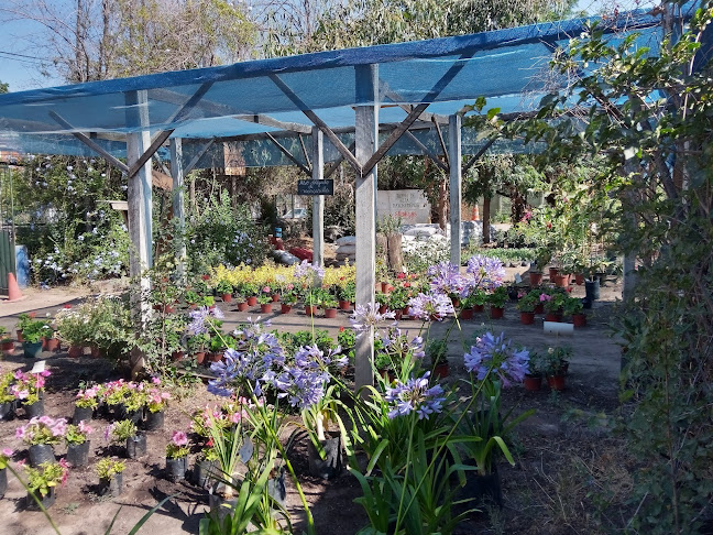 Opiniones de Jardin California en Providencia - Centro de jardinería